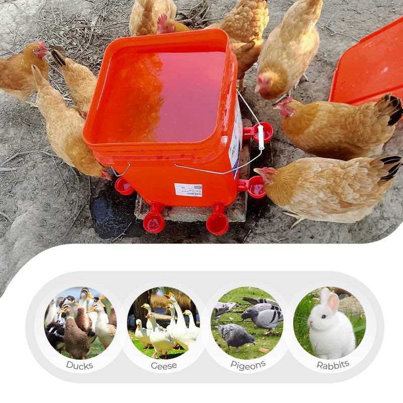 5/16 Inch Thread Automatic Poultry Water Cups
