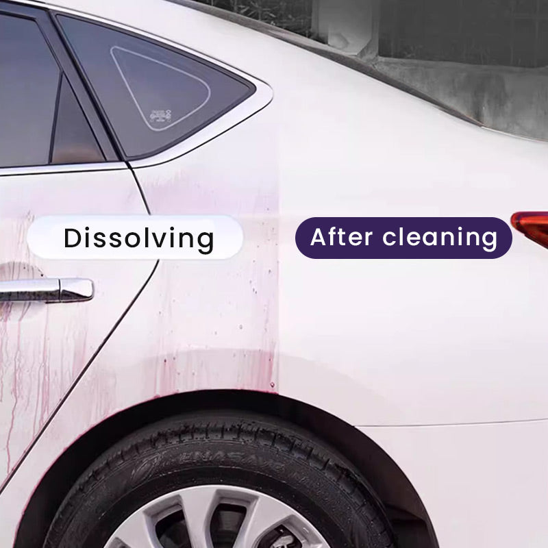 Enjoy Iron Powder Rust Remover for Car