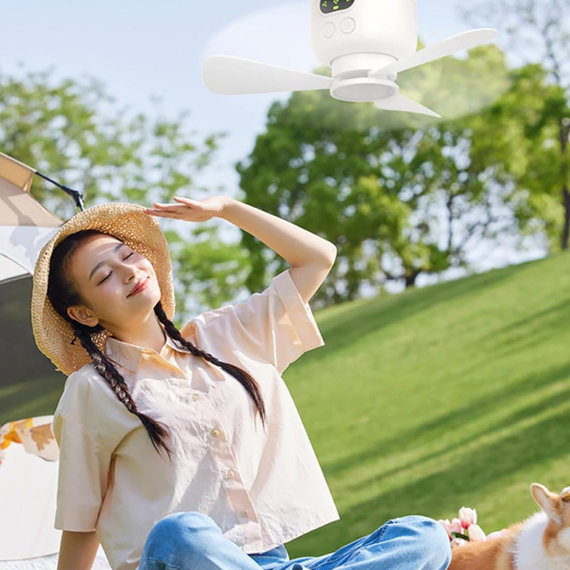 Summer Rechargeable Ceiling Fan with LED Lights