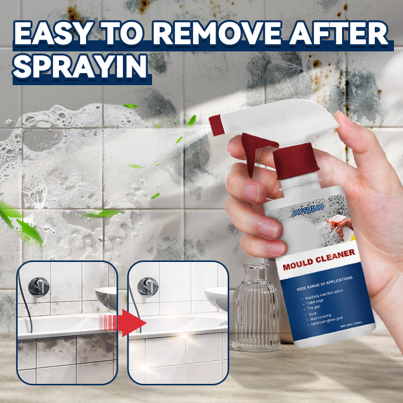 Free Anti-mould Cleaning Foam Spray