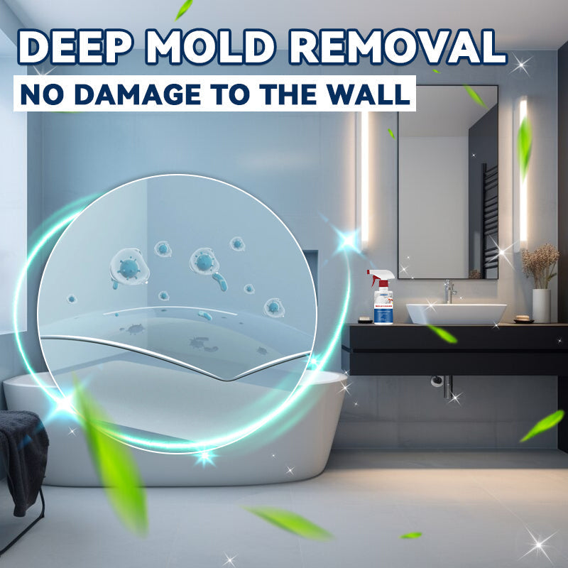 Free Anti-mould Cleaning Foam Spray