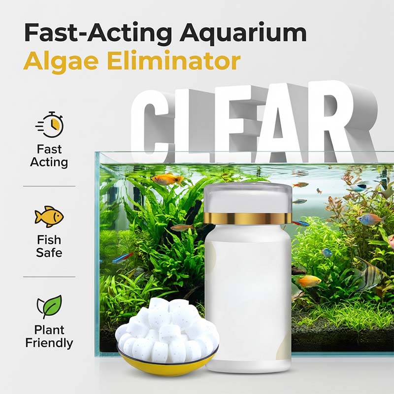 Pastilles anti-algues - stoppent la prolifération des algues au niveau cellulaire. Gardez votre aquarium parfaitement limpide.