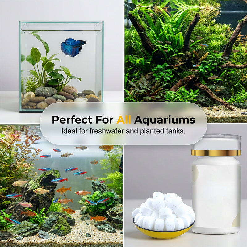 Pastilles anti-algues - stoppent la prolifération des algues au niveau cellulaire. Gardez votre aquarium parfaitement limpide.