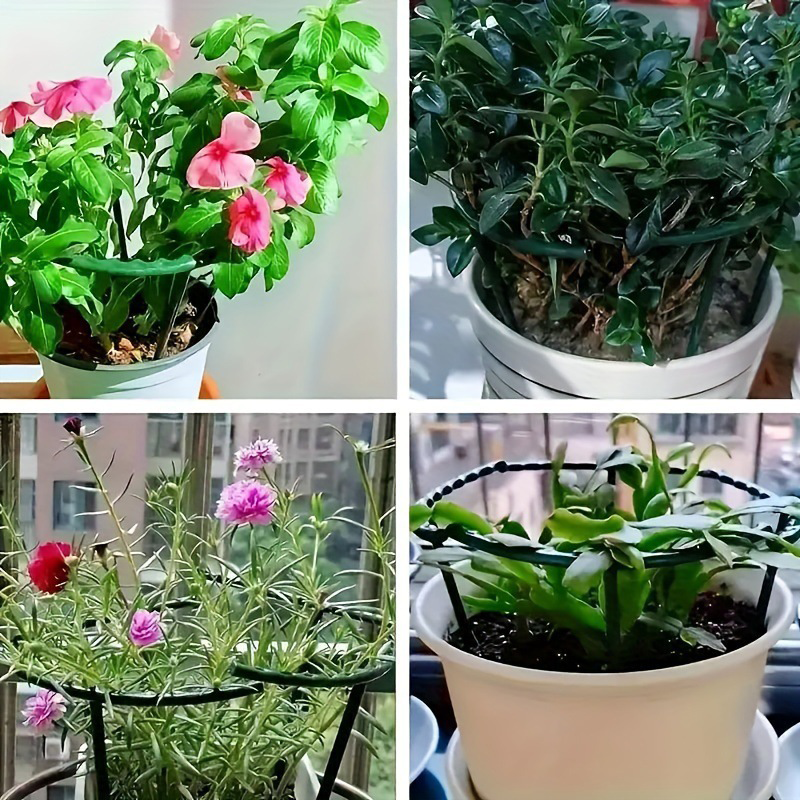 Aros entrelazables de soporte para el crecimiento de plantas y fácil instalación | Mantén las plantas erguidas rápidamente