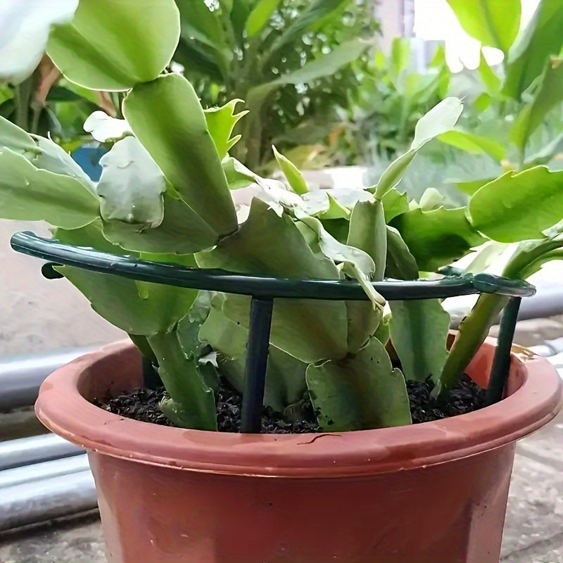 Aros entrelazables de soporte para el crecimiento de plantas y fácil instalación | Mantén las plantas erguidas rápidamente